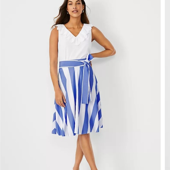 Ann Taylor Striped Tie Waist Skirt – Blue & White, Size 6 | Lined A-Line Skirt - Picture 8 of 9